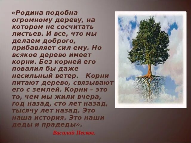 Корни – это то, чем мы жили вчера,. Харе кришна махамантра. Будда весеннего храма китай. Огромный подобно. Лиепусальский дуб.