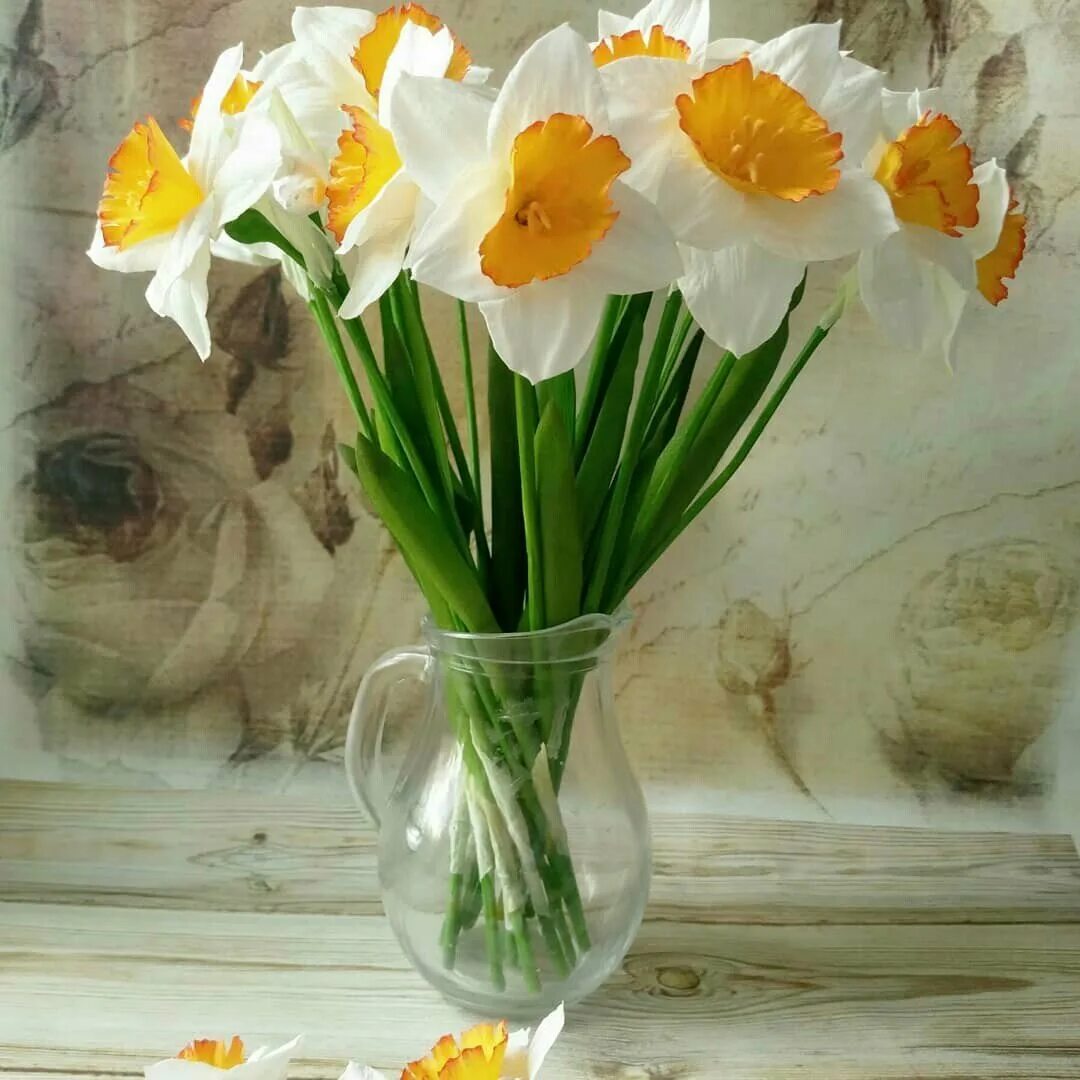 Нарцисс срезка. Нарцисс букетный. Цветы букеты шикарные нарциссы. Нарцисс букетный. Цветы нарциссы букет.