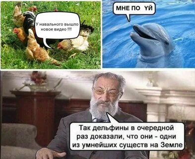Днях в очередной раз