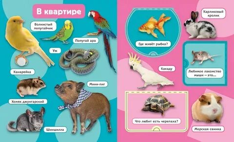 Какое животное можно подарить