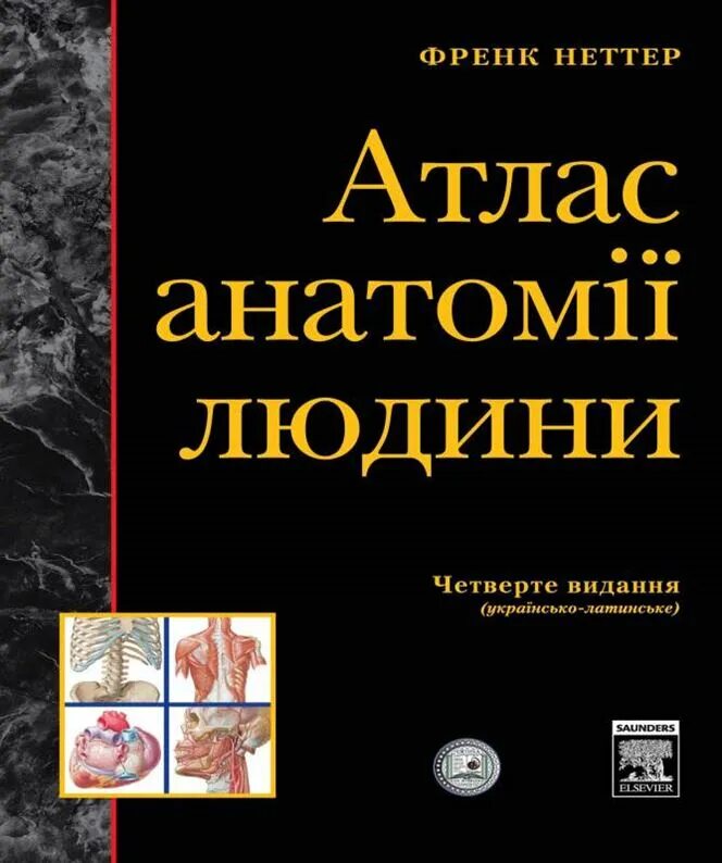 Атлас по анатомии Фрэнка Неттера. Атлас анатомии человека Неттер 2 том. Фрэнк Неттер атлас анатомии человека. Фрэнк Неттер атлас анатомии человека 6 издание.