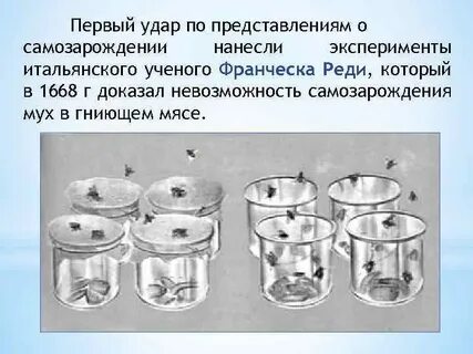 Опыты самозарождения жизни