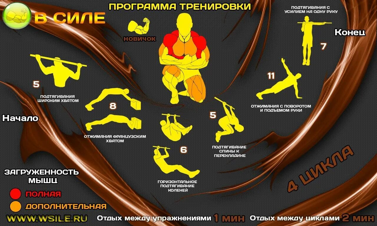 Программа тренировок shark. Программа тренировок. Тренировочная программа. Кроссфит программа тренировок. Упражнения кроссфит для мужчин.