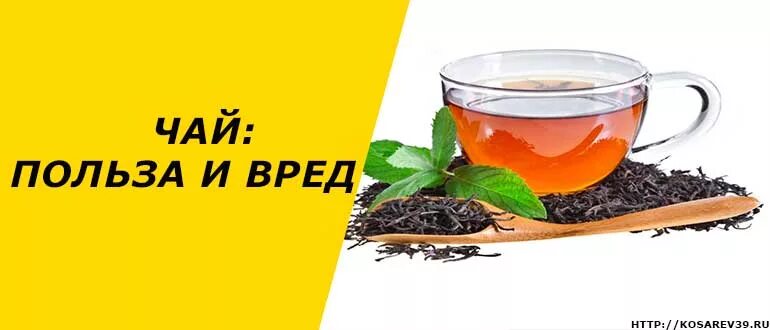 Польза и вред чая. Польза чая. Чай полезен или вреден. Буклет про чай. Буклет чай