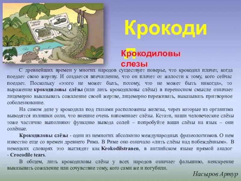 Выражение крокодиловые слезы. Крокодиловы слёзы происхождение фразеологизма. Крокодильи слезы фразеологизм. Фразеологизм лить Крокодиловы слезы. Крокодильи слезы значение фразеологизма.