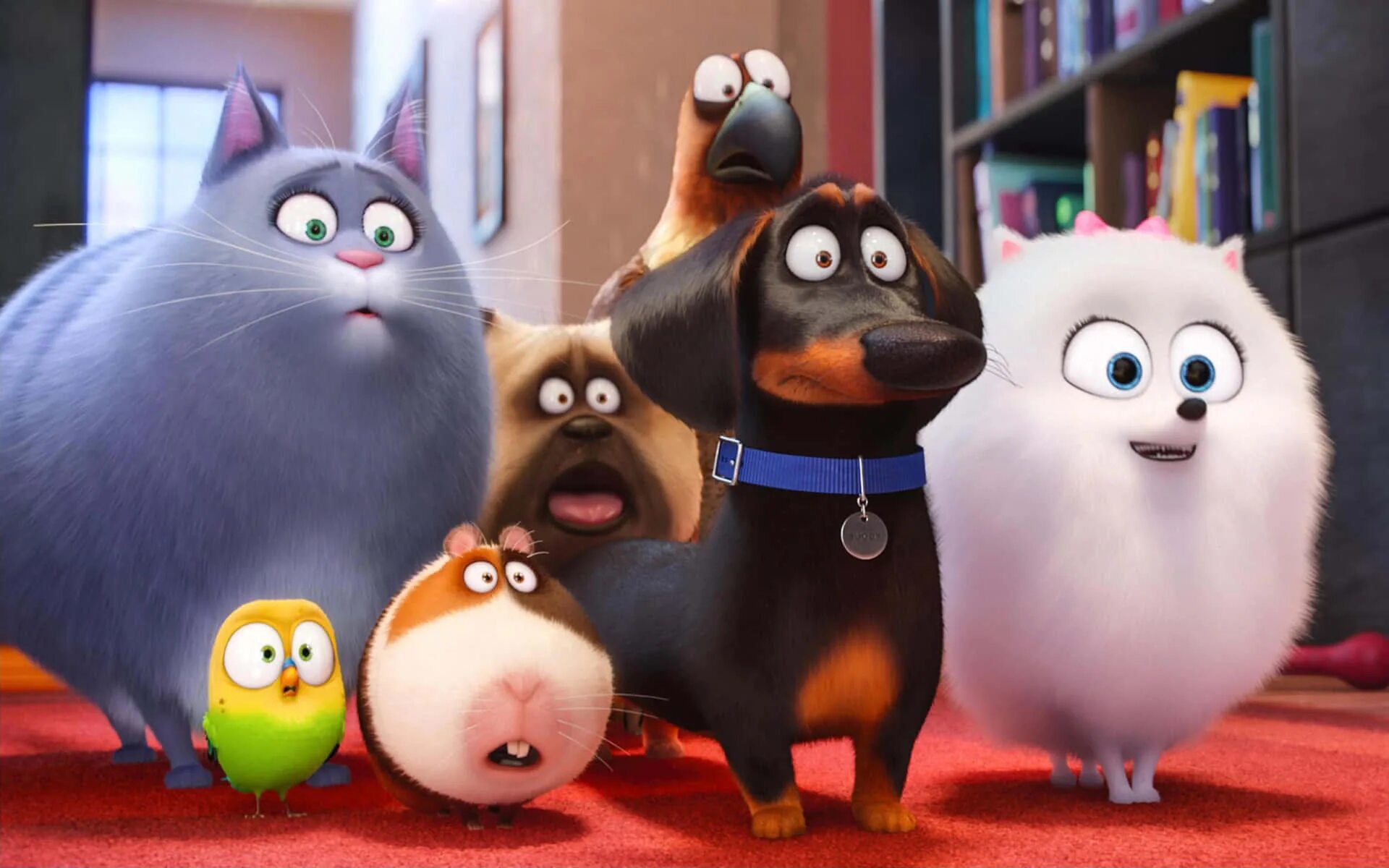 Тайная жизнь домашних животных 2. © the Secret Life of Pets Тайная жизнь домашних животных (2016). Тайная жизнь домашних животных 2 Бадди. Pet life 2