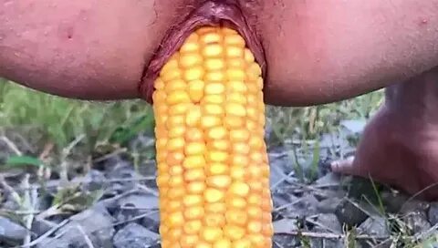 Jagung di pantatku. 