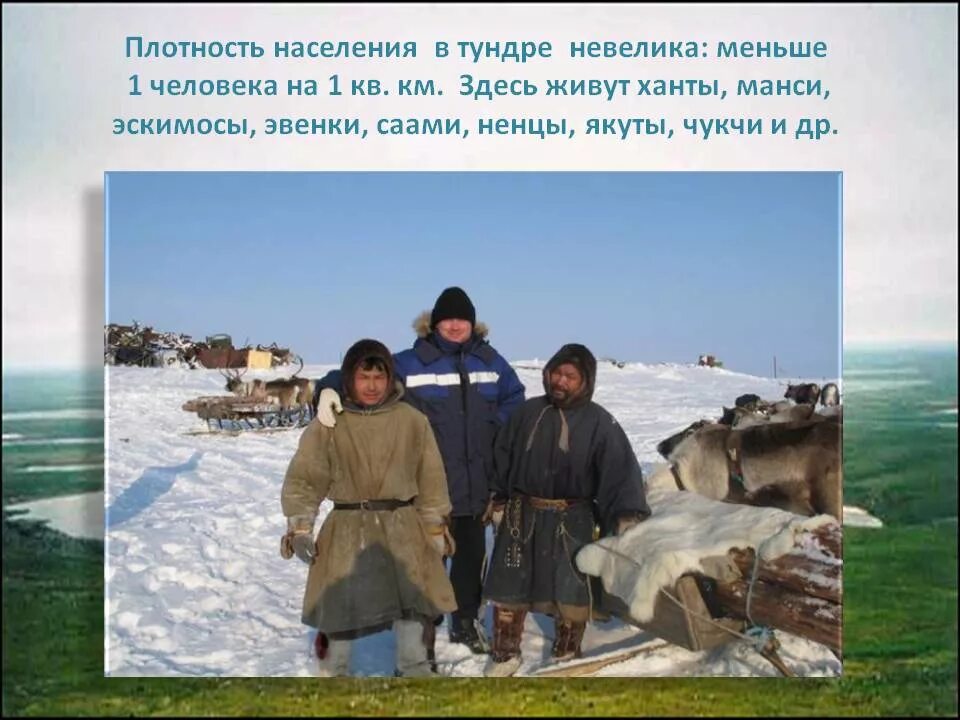 Тундра плотность населения. Тундра плотность населения. Тундра и человек. Плотность населения тундры. Тундра плотность населения.