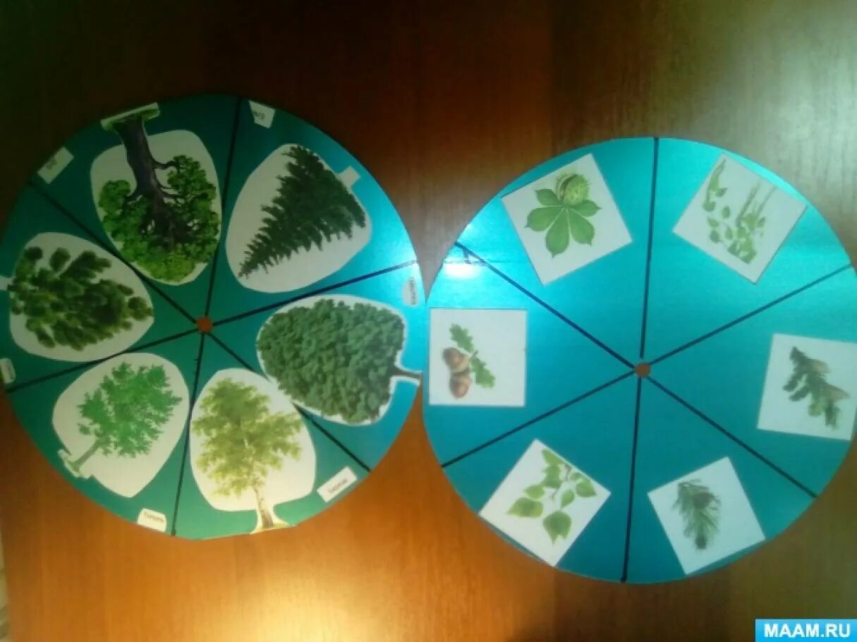 Использование кругов луллия. Круги луллия в детском саду. Использование кругов луллия. Логическая игра раймонда луллия кольца луллия. Музыкальные дидактические игры круг луллия.