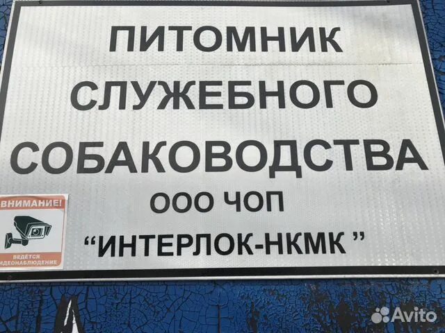 Охранные предприятия в новокузнецке. На автостоянку требуется охранник. Охранник на вахту вакансии. Сторож прокопьевске вакансии. Требуется сторож (вахтер).