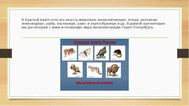 Контрольная работа птицы млекопитающие. Красная книга млекопитающие птицы рептилии. каких домашних млекопитающих разводят люди. каких домашних насекомых рыб птиц млекопитающих вы знаете. какие домашние млекопитающие птицы рыбы насекомые разводят люди.