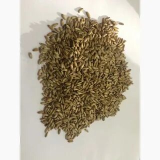 Жмых расторопши