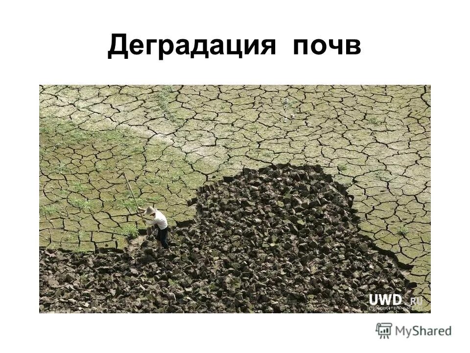 Деградация почв загрязнение почв. Деградация почв. Деградация сельскохозяйственных земель. Дегумификация почв. Загрязнение и деградация почв.