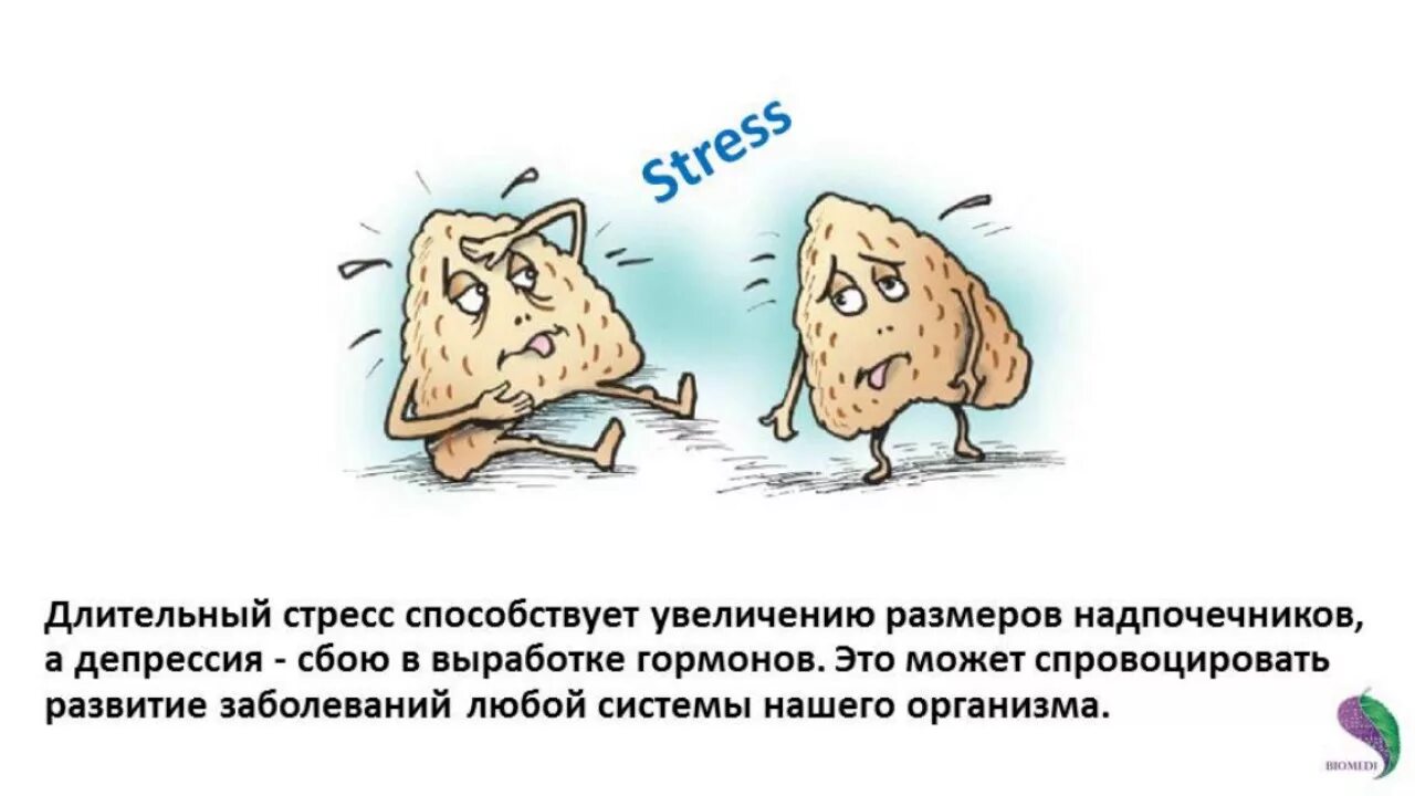 Стресс реакция гормоны. Надпочечники и стресс. Стресс иллюстрации. Гормоны стресса в надпочечниках. Гормон депрессии и стресса.