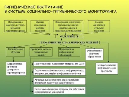 Программа гигиена