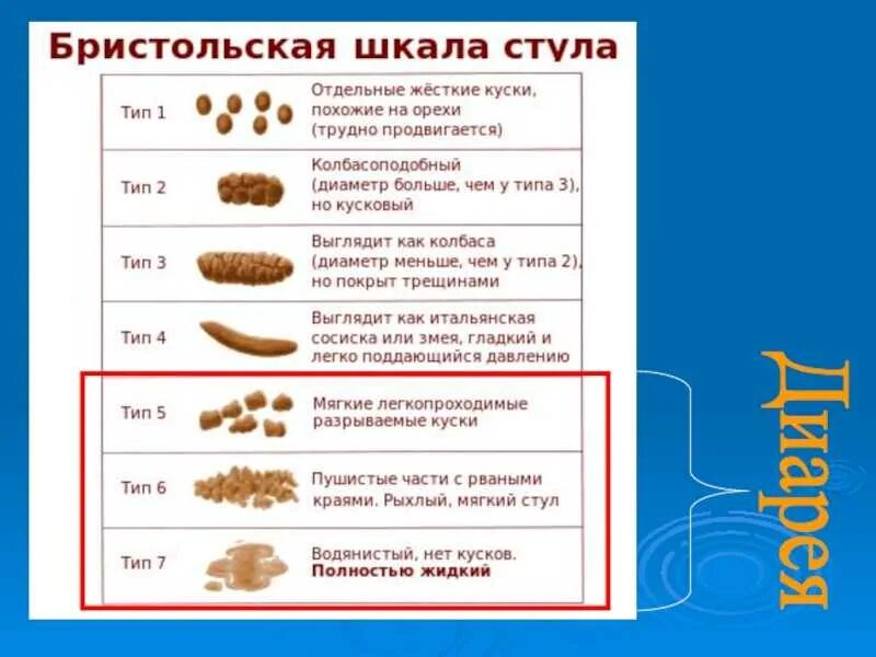 Как должен выглядеть кал у здорового человека Какой консистенции должен быть кал