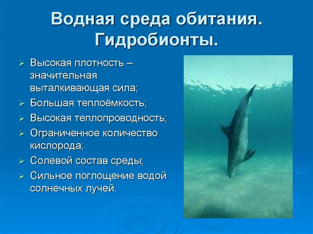 Признаки водных организмов