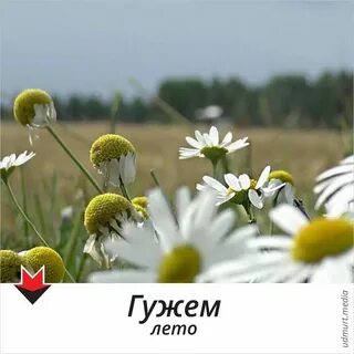 Когда лето будет теплым