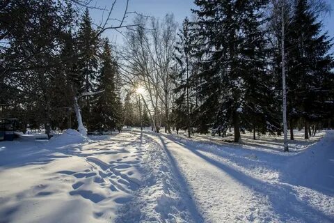 Новосибирск январь