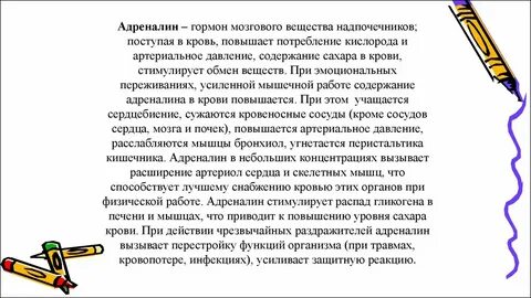 Адреналин стимулирует