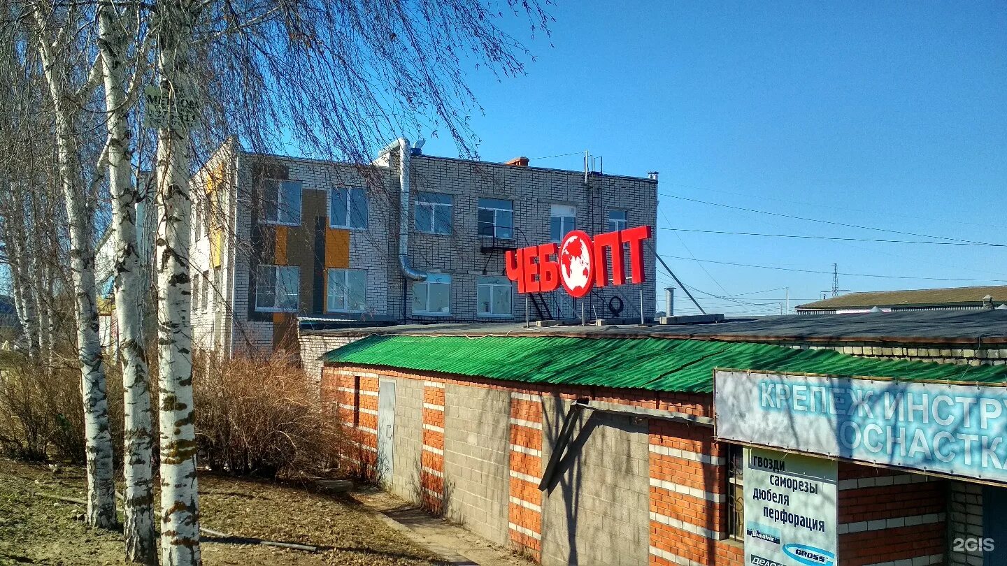 Чебопт чебоксары. Чебопт чебоксары
