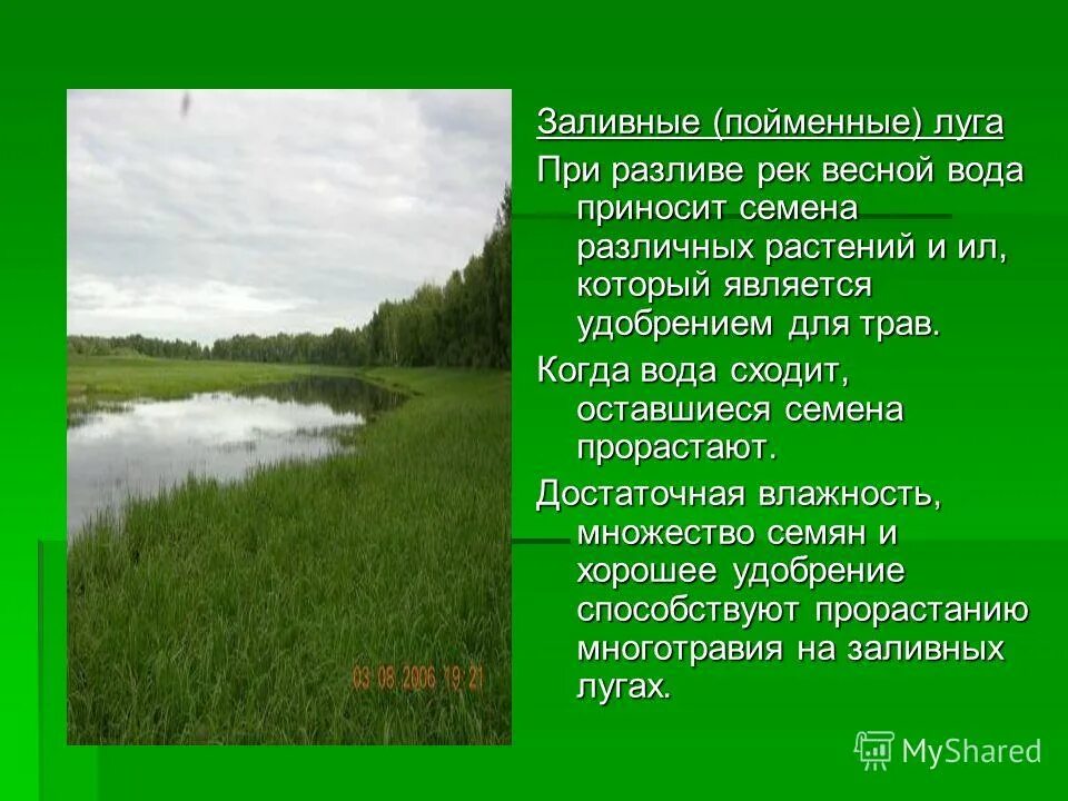 Хутор безлесный усть-лабинского. Хутор безлесный. Безлесный. Безлесное курск рыбалка. Хутор безлесный усть-лабинского.