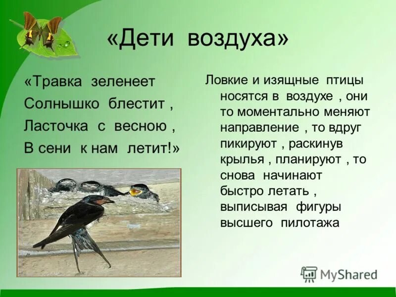 Стихотворение плещеева травка зеленеет солнышко. Травка зеленеет солнышко блестит. Травка зеленеет солнышко. Травка зеленеет солнышко блестит ласточка с весною в сени к нам. Ласточка весной в сени к нам летит.