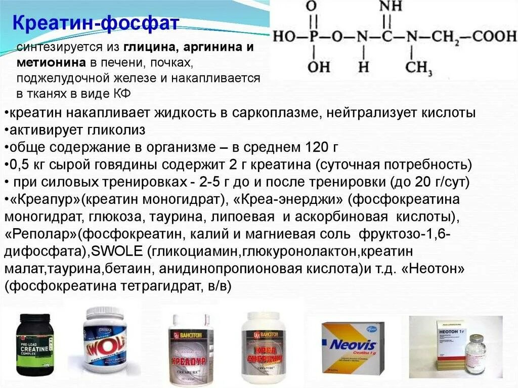 Креатин фосфатный. Креатин креатинфосфат. Строение креатина. Роль креатина в организме человека. Креатинин действие