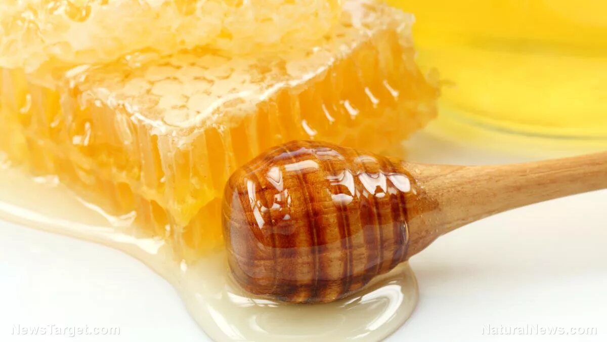 Включи honey. Чем полезен мед для зубов. Конец Honey. Sweetness Honey.