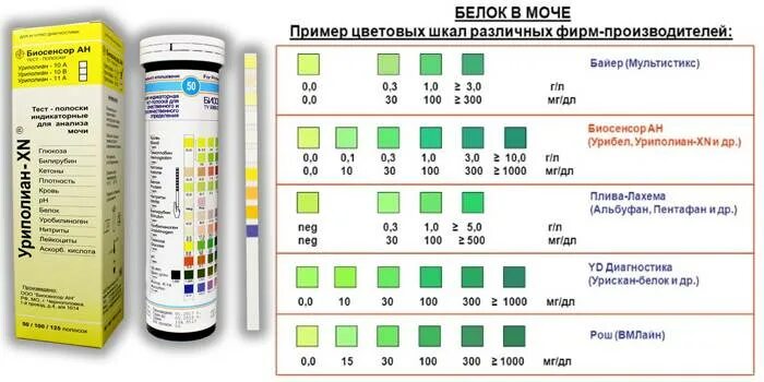 Тест для определения белка в моче. Тест полоски на белок в моче для беременных расшифровка норма. Тест-полоски для определения белка в моче у беременных. Тест полоски для определения белка в моче при беременности. Тест полоска на белок в моче при беременности расшифровка норма.