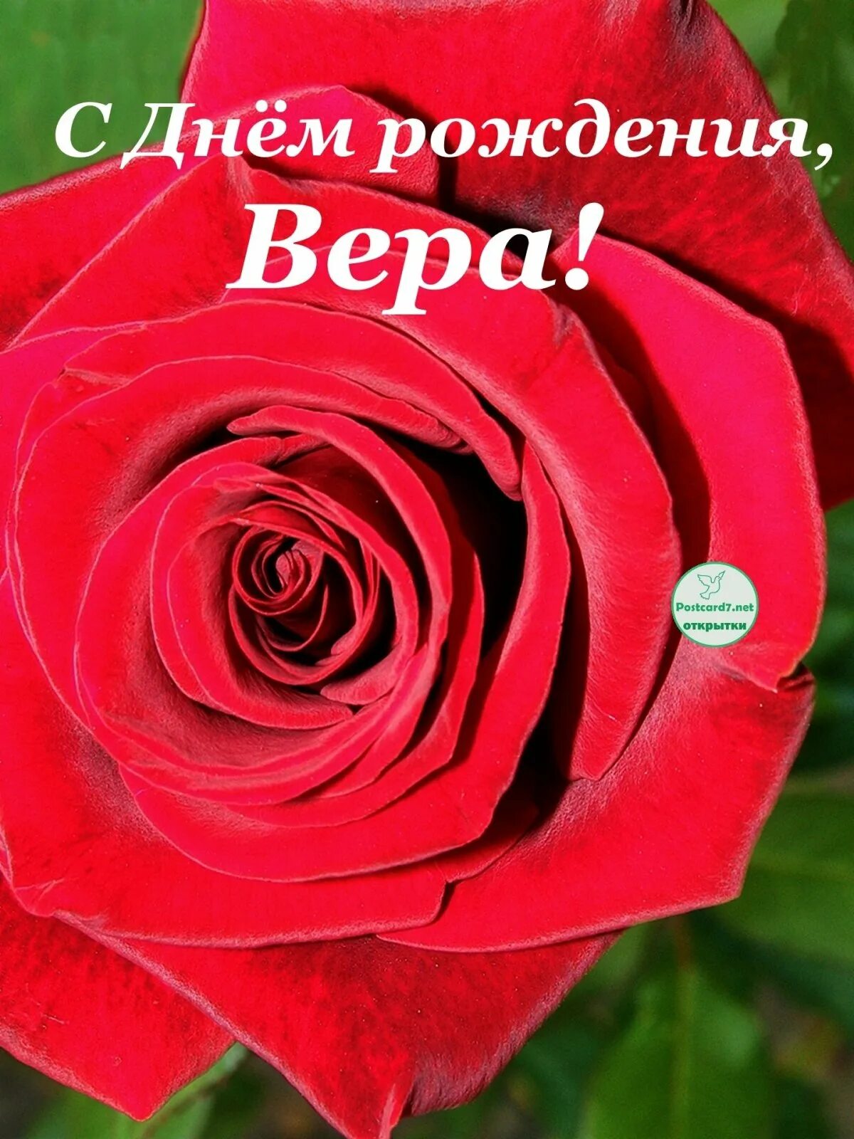 Любимой верочке. Любимой верочке. С юбилеем верочка. С днём рождения верочка. Имя верочка.