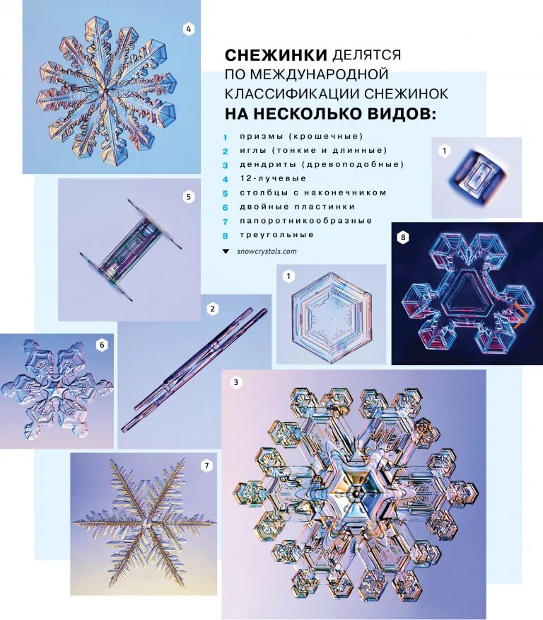 Почему снежинки разные. Снежинки разной формы. Виды снежинок. Снежинка в форме пластинки. Формы снежинок и их названия.