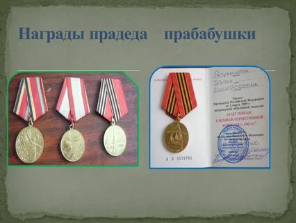 Дерево прадед прадеда