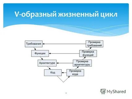 V образный жизненный цикл