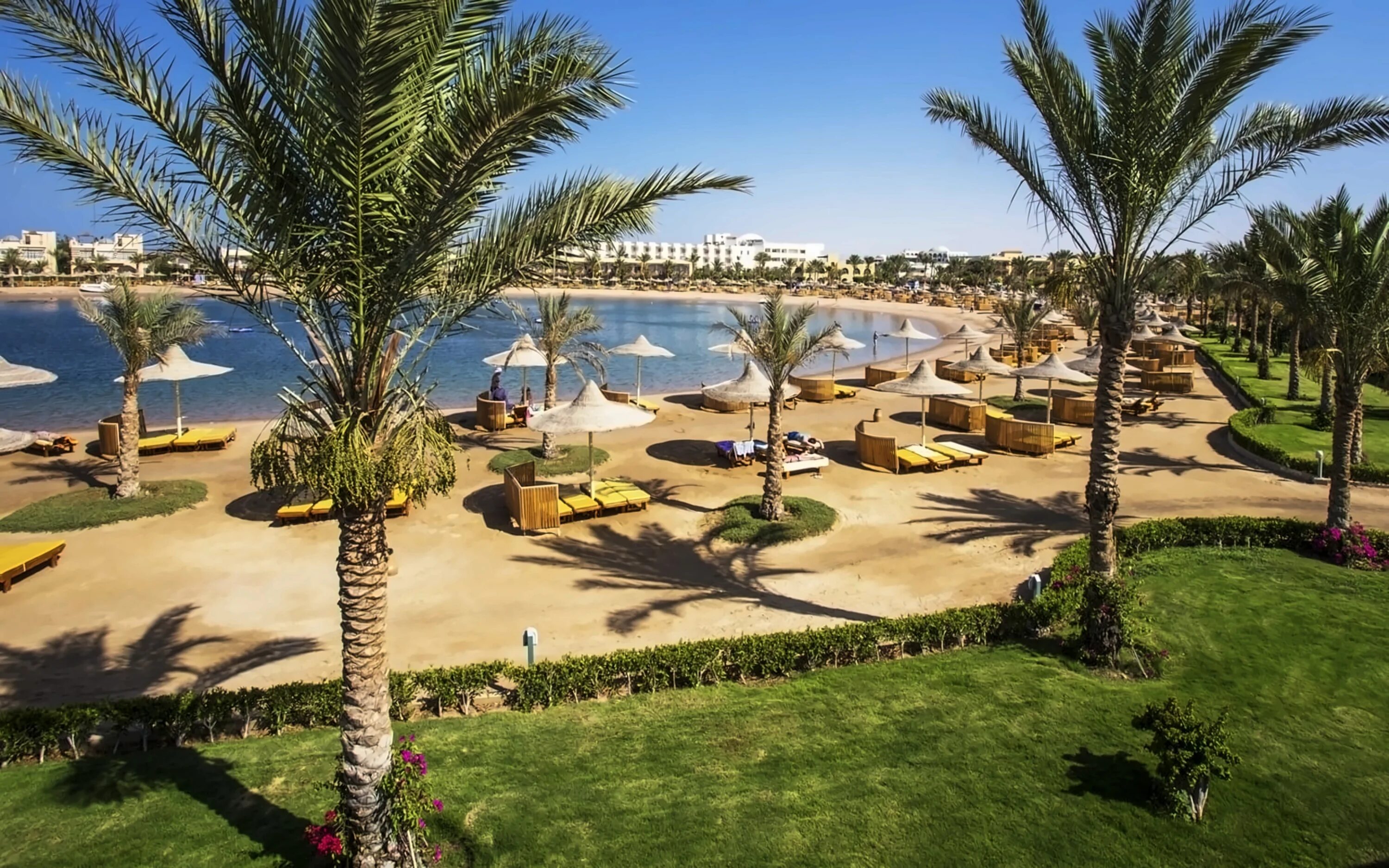 Desert rise. Десерт Роуз Резорт Хургада Египет. Desert Rose Resort Hurghada 5 Египет Хургада. Хургада отель десерт Роуз 5. Десерт Роуз Хургада отель Египет.