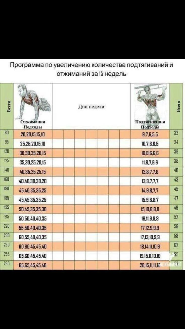 Сколько надо подтягиваться. Таблица пресса и отжиманий. Отжимания таблица на 30 дней. Схема тренировок по отжиманию от пола. План тренировки для увеличения количества подтягиваний.