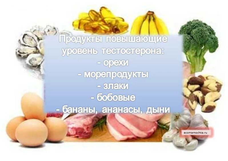 Повышение тестостерона у мужчин. Продукты повышающие тестостерон. Повышение уровня тестостерона. Как повысить тестостерон. Что повышает тестостерон.