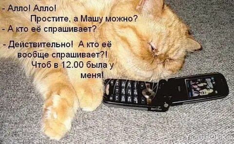Вообще спроси