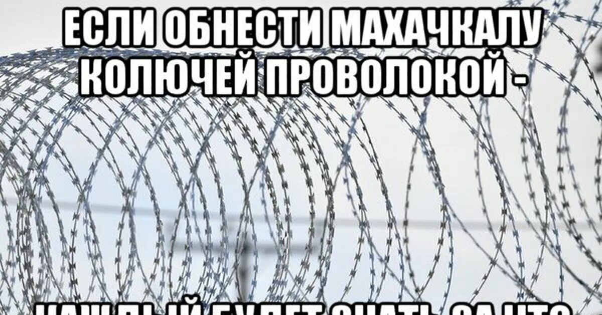 Что воля что неволя все равно. Волей неволей. плохая воля лучше неволи значение.