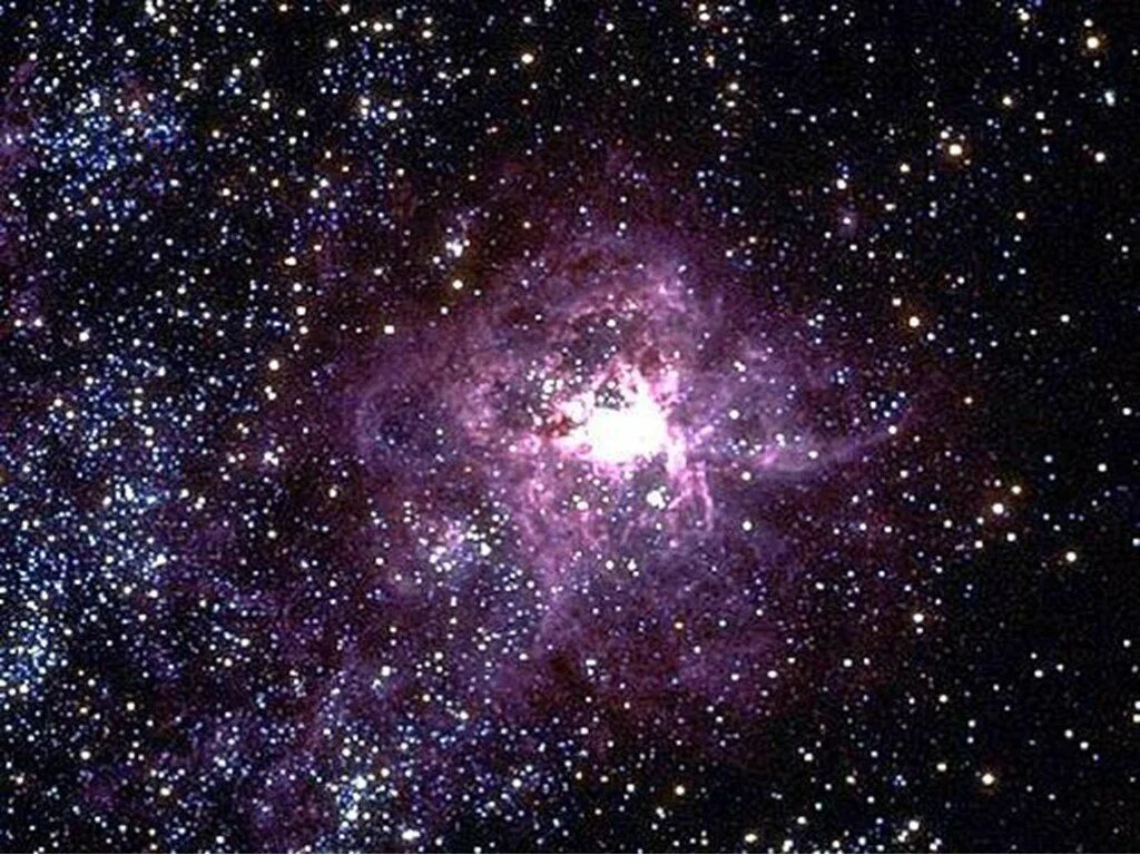 Мне не нужны с неба звезды даже только твои. Цитаты про звезды. Если звёзды зажигают. Для чего нужны звезды. Нужны stars.