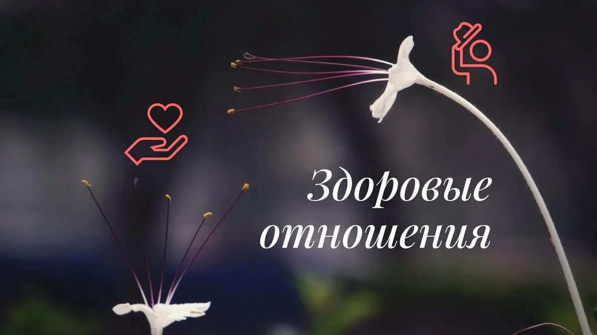 5 признаков здоровых отношений. Здоровые отношения психология. Нормальные здоровые отношения. Здоровые отношения что это. Здоровые отношения.