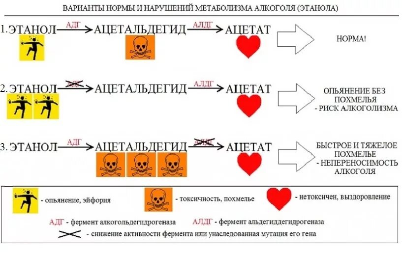 Сильный похмельный синдром. Воняешь слабостью мем. Сильная головная боль при похмелье. Похмелье симптомы. Сильный похмельный синдром.