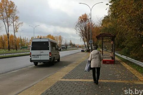 Бирули могилев