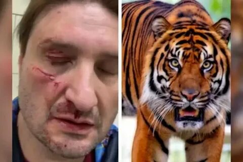 После нападения льва получил сверхсилу как называется