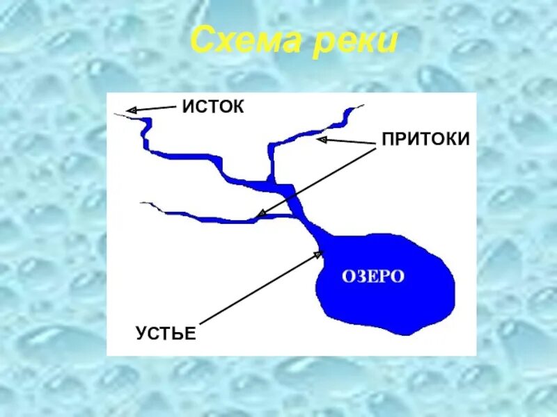Какие притоки у оки. Устье реки исток приток окружающий мир 3 класс. схема реки исток приток устье. исток реки устье реки. река урал исток устье притоки.