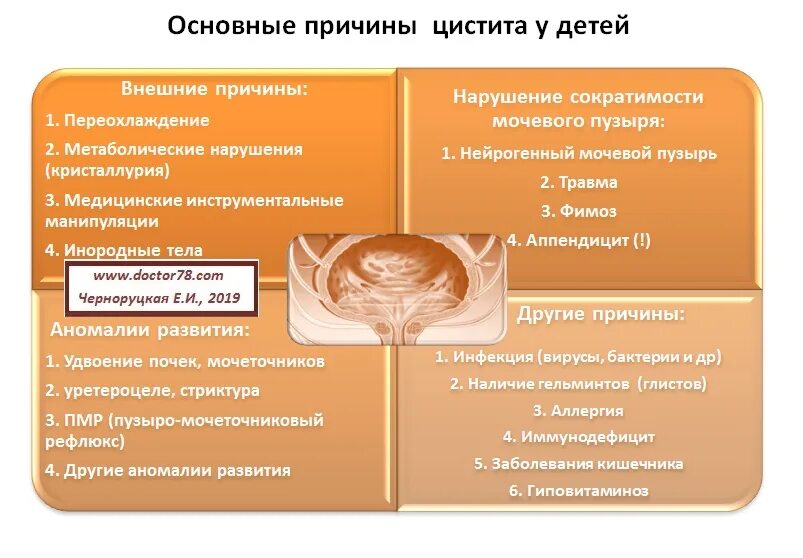 Сколько дней лечится цистит. Цистит у детей. Причины развития цистита у детей. Цистит у ребенка 2 года симптомы. Терапия цистита у детей.