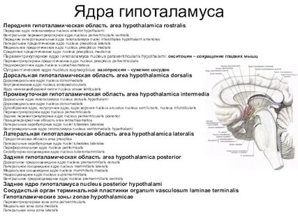 Ядра передней группы гипоталамуса