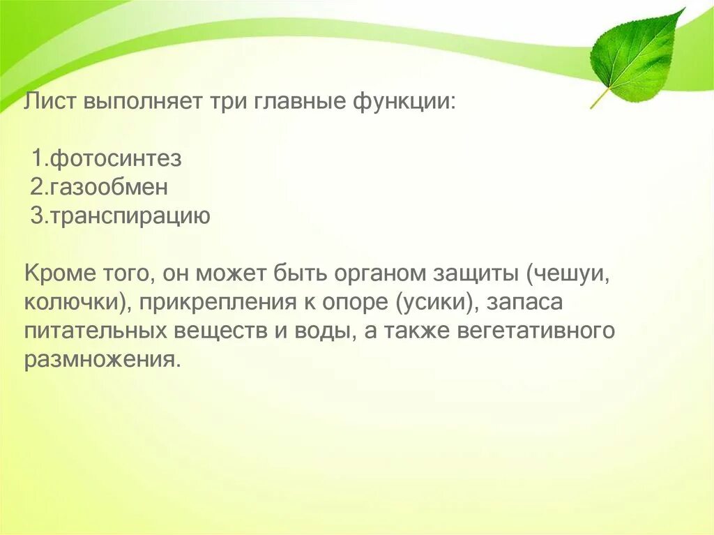 Какую функцию лист не выполняет минеральное питание. Какую функцию лист не выполняет минеральное питание