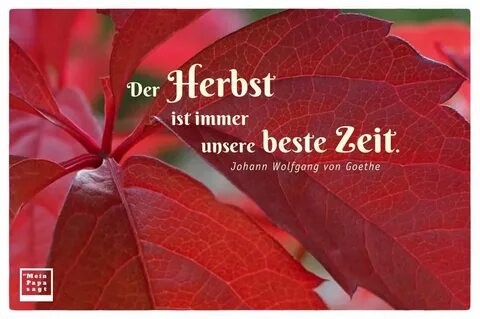 Ist immer