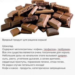 Шоколад хабаровск